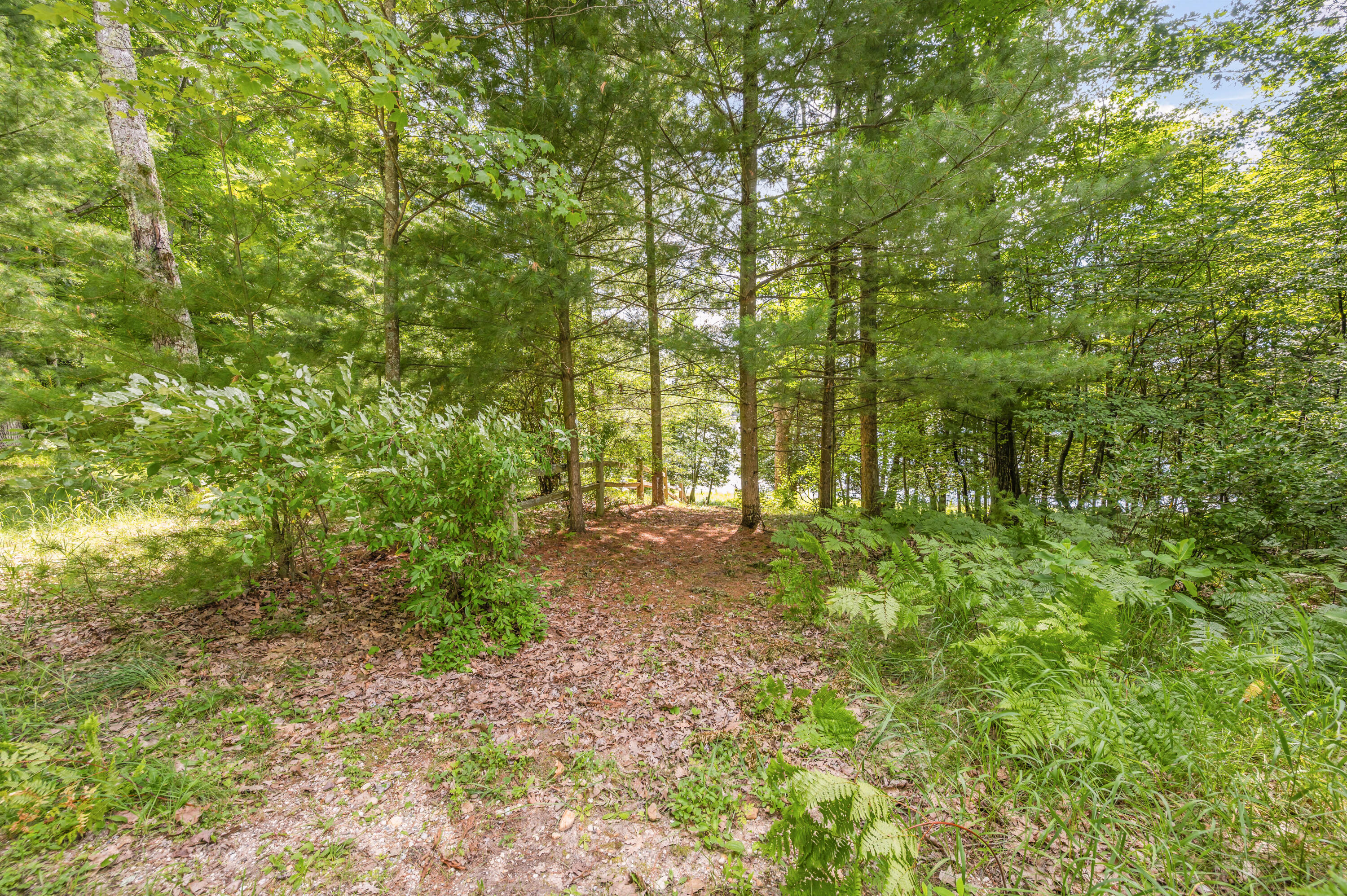 15 West 12 Mile Road Irons, MI 49644 - Photo 18 of 32 Lot15-12MileRd-Irons-19