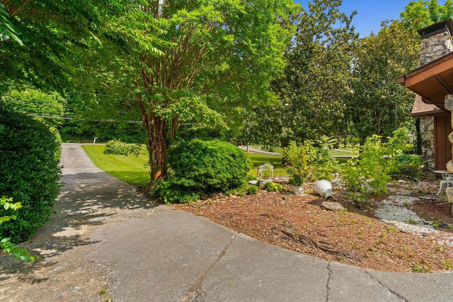 313 North Tibbs Road Dalton, GA 30720 - Photo 5 of 39 a view of a yard with plants and a trees