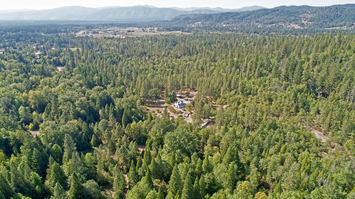 1040 Garner Road Cave Junction, OR 97523 - Photo 48 of 50 DJI_0272