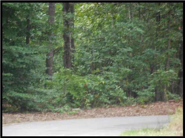 1 Poplar Springs Road Florence, MS 39073 - Photo 4 of 8 Photo 4