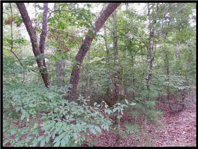 1 Poplar Springs Road Florence, MS 39073 - Photo 6 of 8 Photo 6