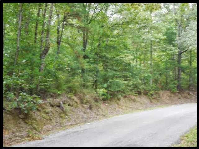 1 Poplar Springs Road Florence, MS 39073 - Photo 7 of 8 Photo 7