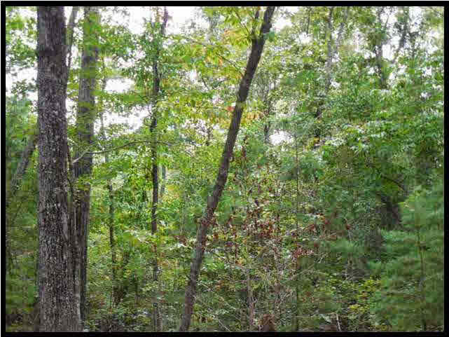 1 Poplar Springs Road Florence, MS 39073 - Photo 8 of 8 Photo 8