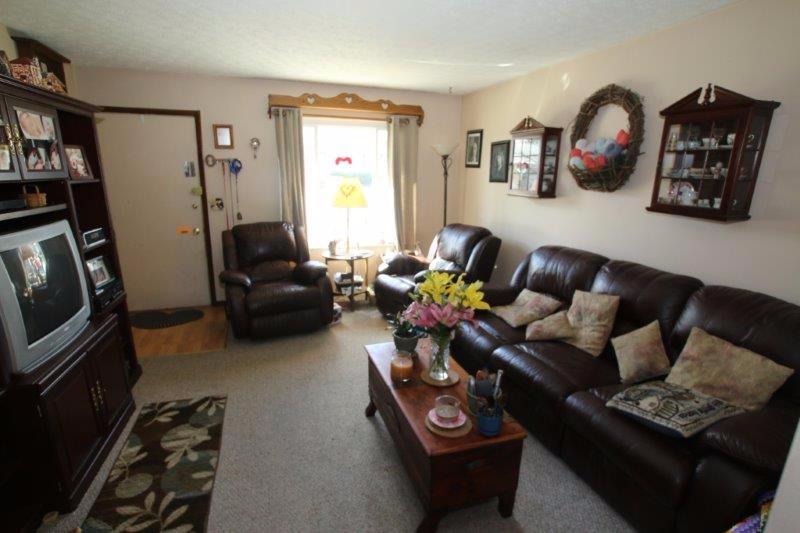 244 Lonepine Road Delaware, OH 43015 - Photo 4 of 19 Gallery Image 4