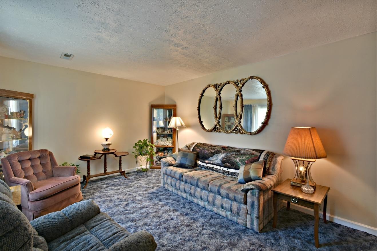 6100 McNeely Road Corryton, TN 37721 - Photo 3 of 17 a living room with furniture a mirror and a potted plant