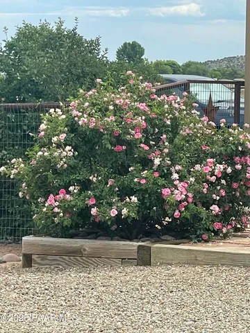 a view of a yard with flower plants and large tree