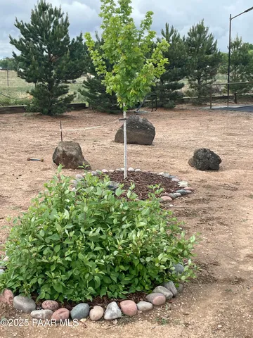 a backyard of a house with lots of green space