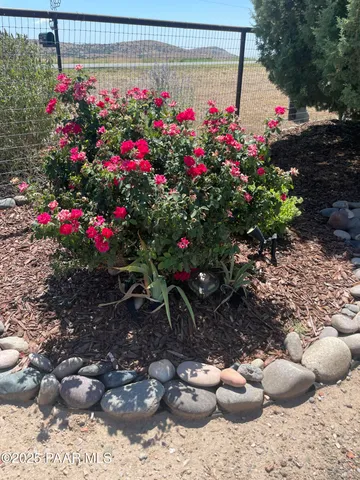 a view of a flower in a yard