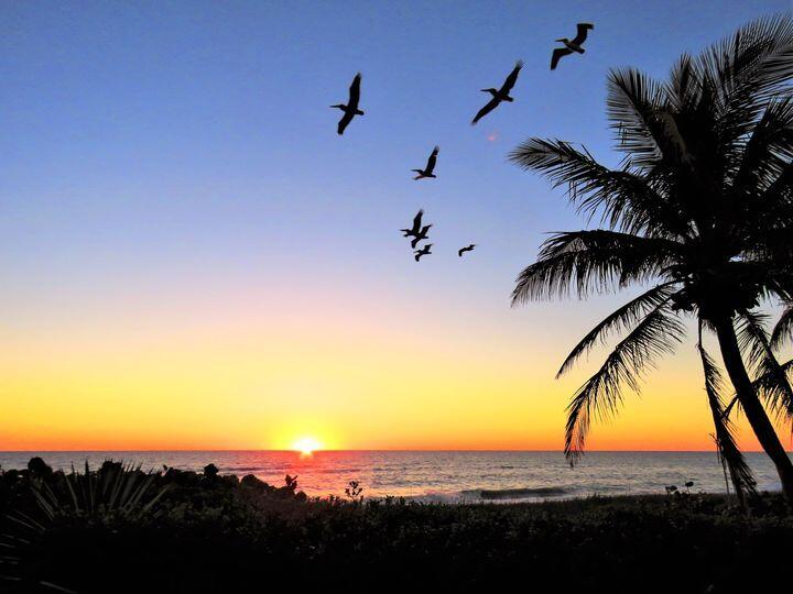 341 Springview Loop Port St. Lucie, FL 34986 - Photo 104 of 122 sunsets