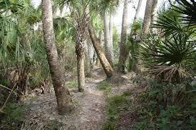 341 Springview Loop Port St. Lucie, FL 34986 - Photo 96 of 122 oxbow trails