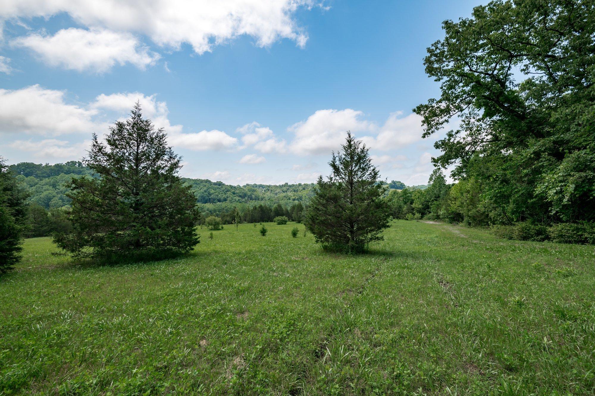 15850 Irvine Road Winchester, KY 40391 - Photo 49 of 63 050-15850_irvine_rd_6_12_21-highrez.jpg-