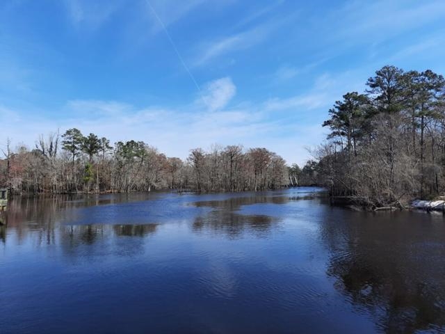 167 Palm Terrace Loop Conway, SC 29526 - Photo 37 of 37