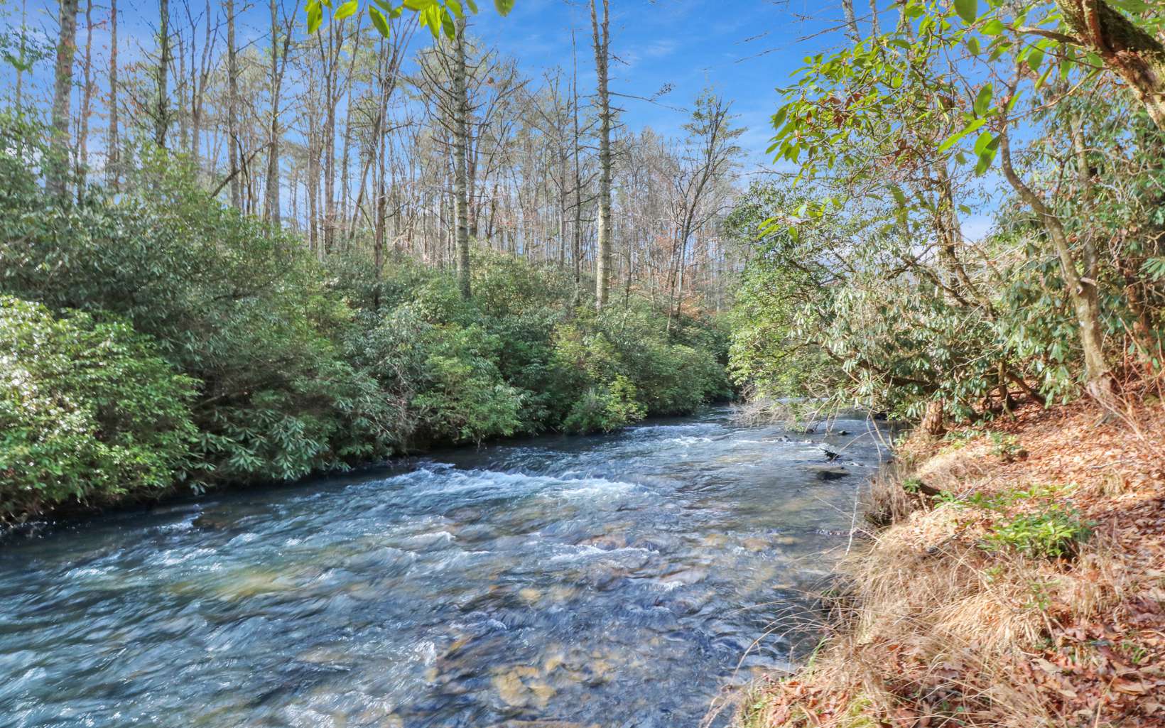 Goose Island Cherry Log, GA 30522 - Photo 1 of 4 Main View