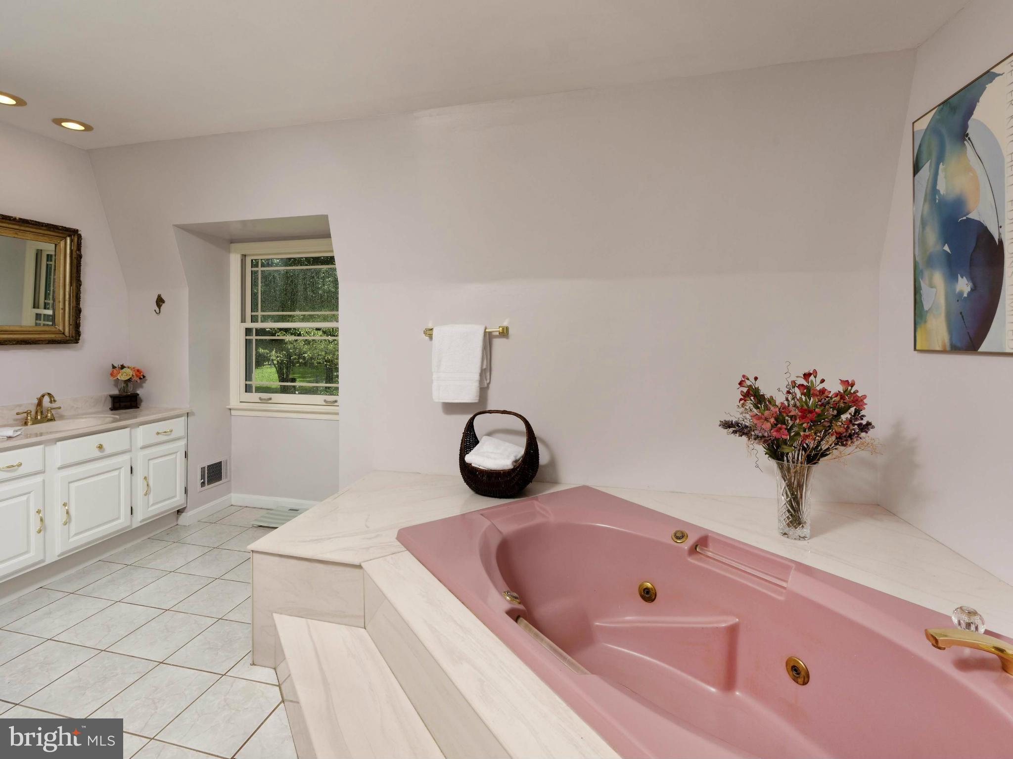 21230 St Louis Road Middleburg, VA 20117 - Photo 16 of 30 Master Bath features a large soaking tub
