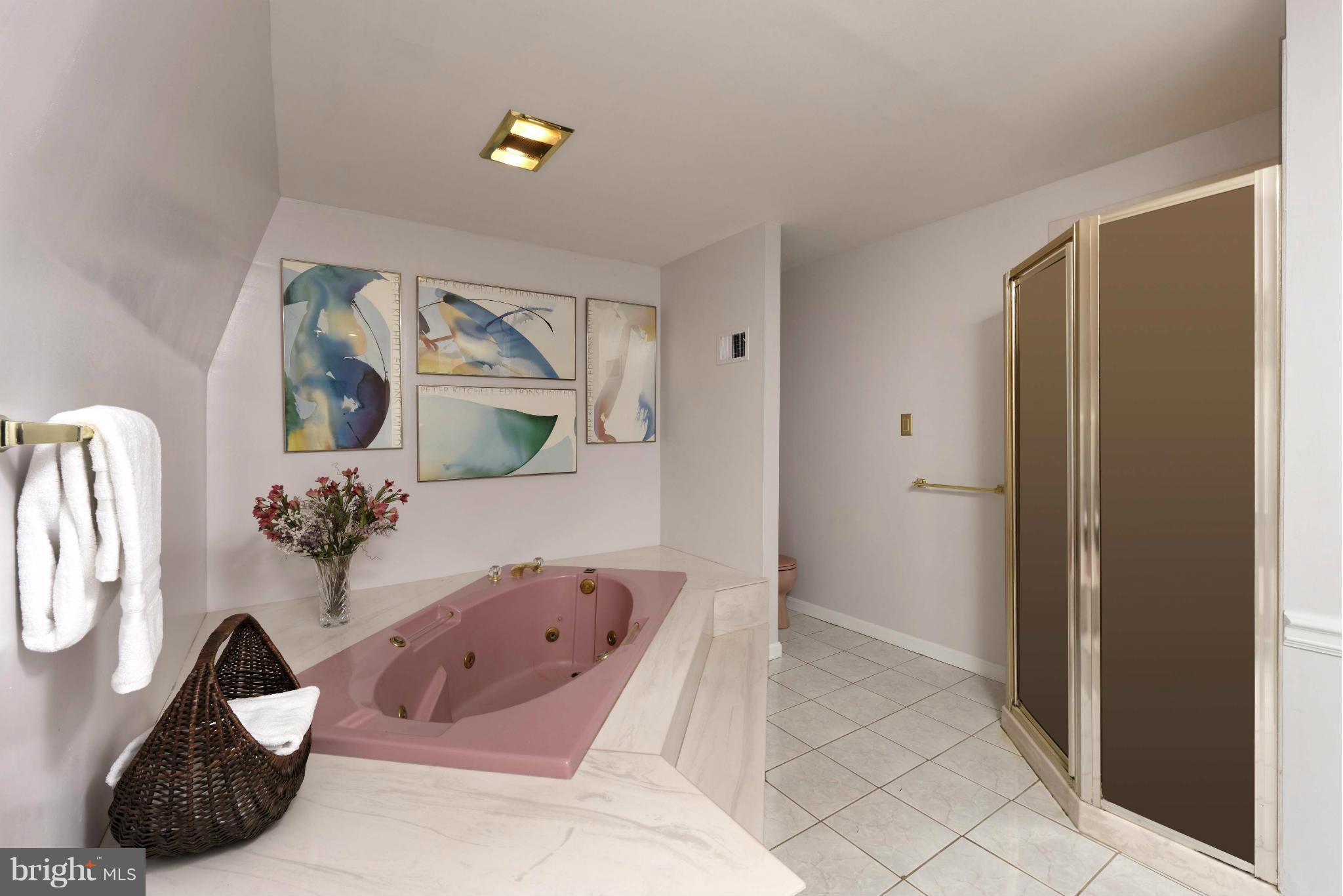 21230 St Louis Road Middleburg, VA 20117 - Photo 17 of 30 Spacious Master bath with jetted tub