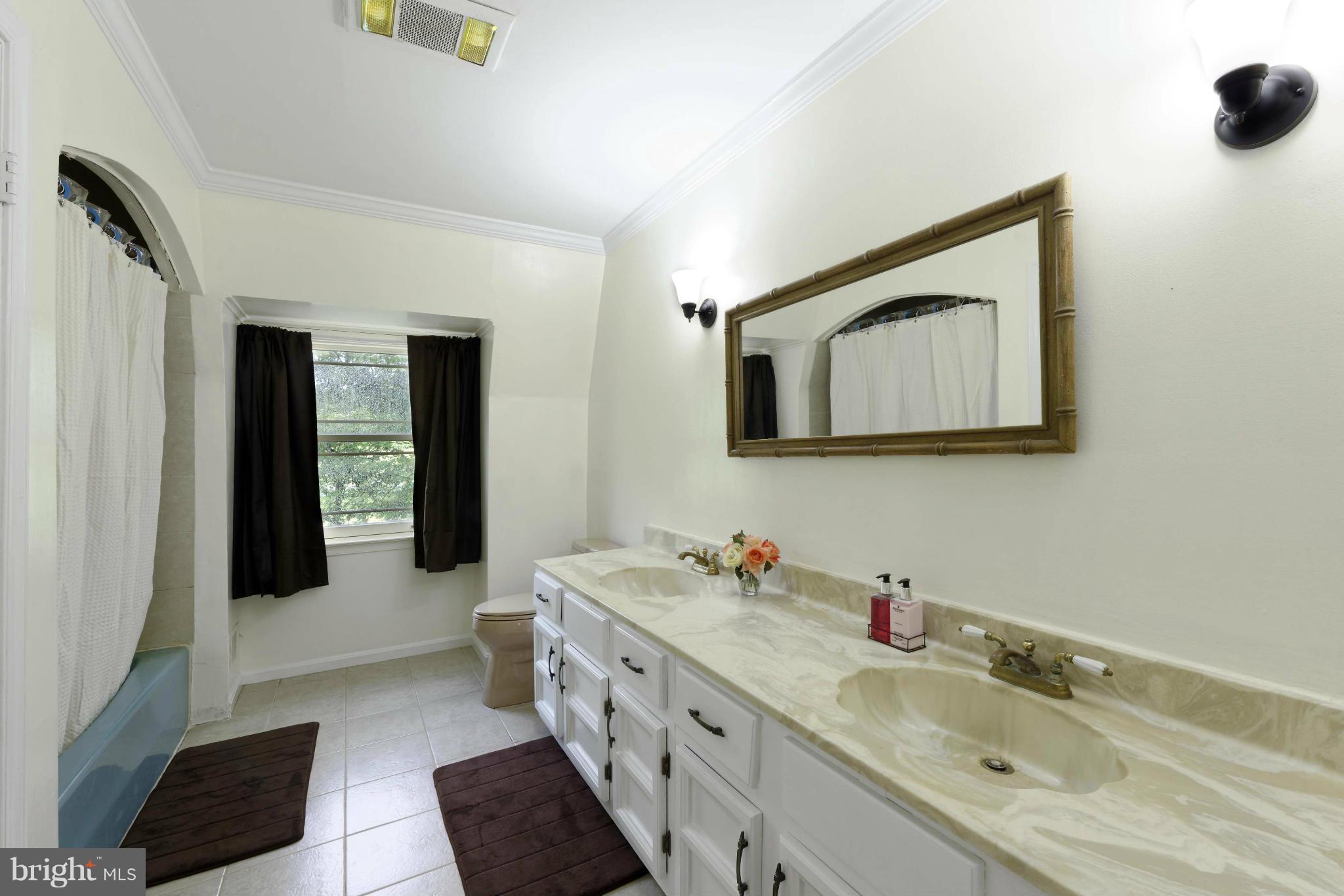 21230 St Louis Road Middleburg, VA 20117 - Photo 19 of 30 Full Guest Bath with double vanity