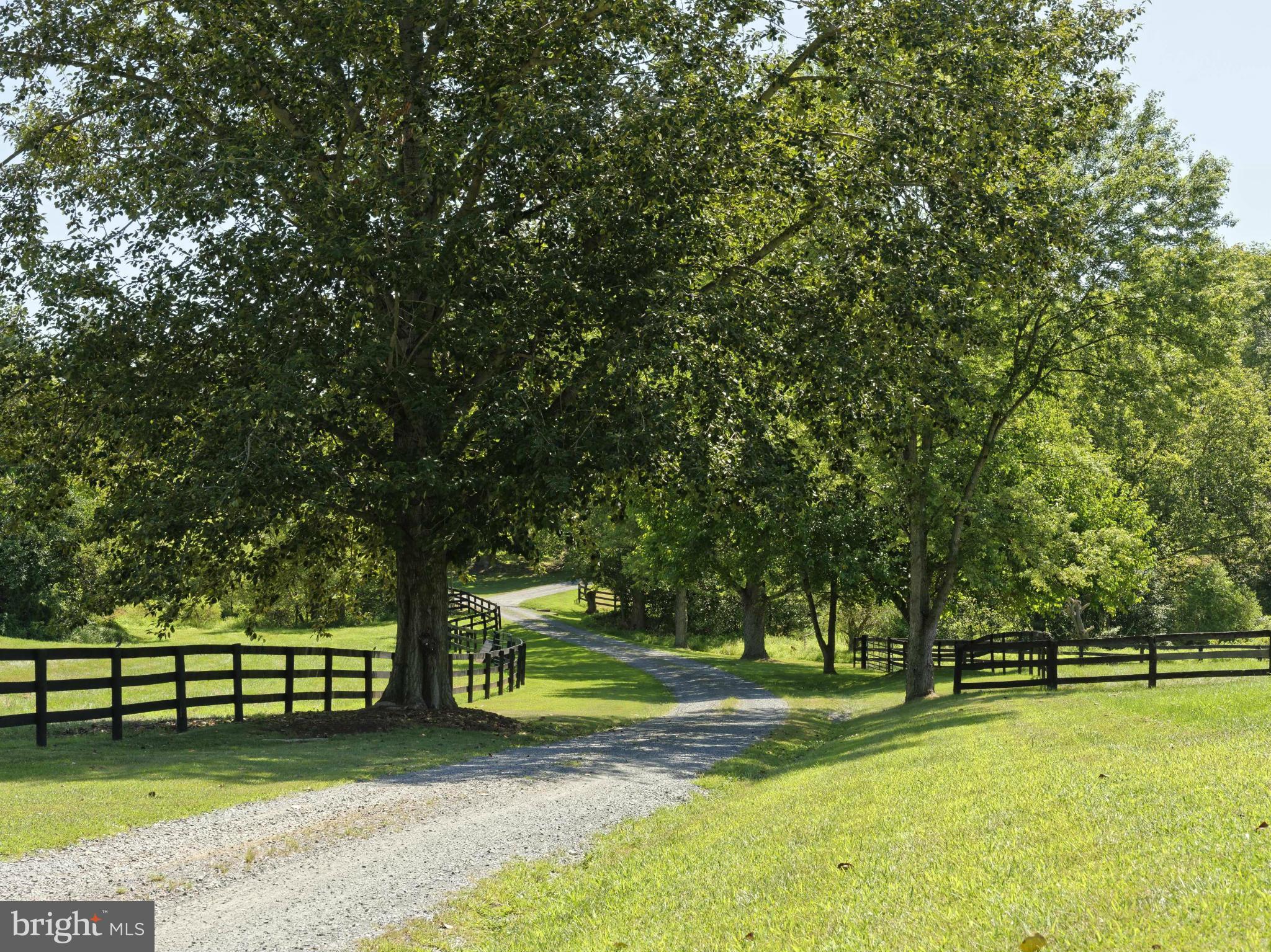 21230 St Louis Road Middleburg, VA 20117 - Photo 29 of 30 Meandering country driveway over small creek