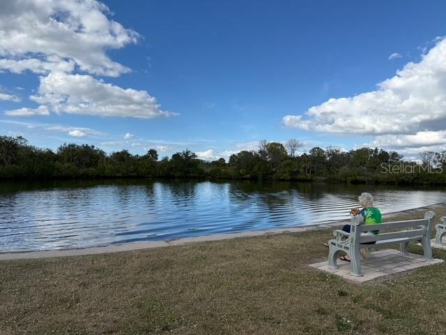 175 St Thomas Circle North Apollo Beach, FL 33572 - Photo 24 of 31