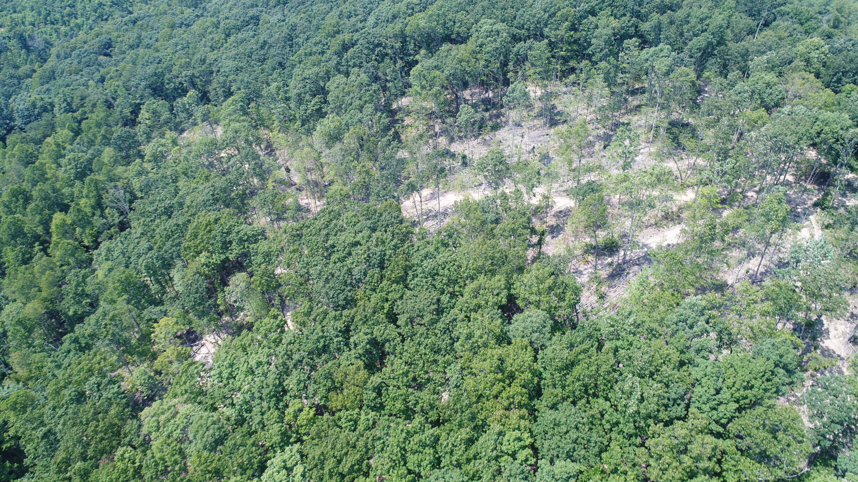 3006 Piney Grove Road Somerset, KY 42501 - Photo 51 of 52 DJI_0650