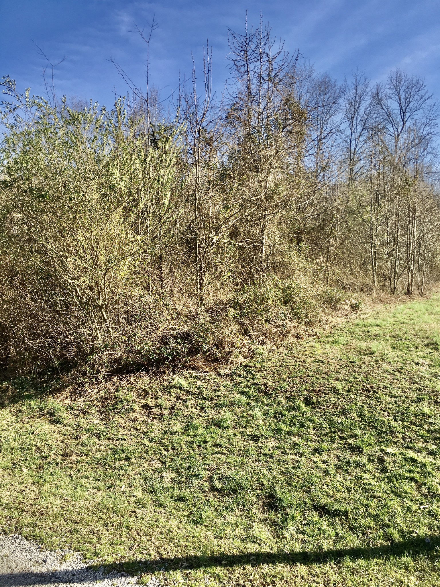 0 Frisco Road Smithville, TN 37166 - Photo 7 of 9 Gallery Image 7