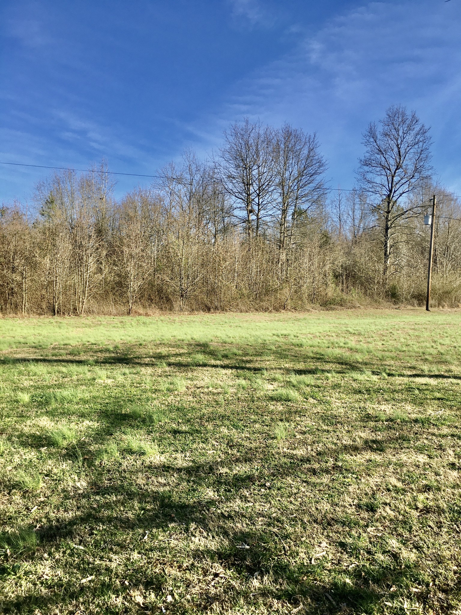 0 Frisco Road Smithville, TN 37166 - Photo 8 of 9 Gallery Image 8