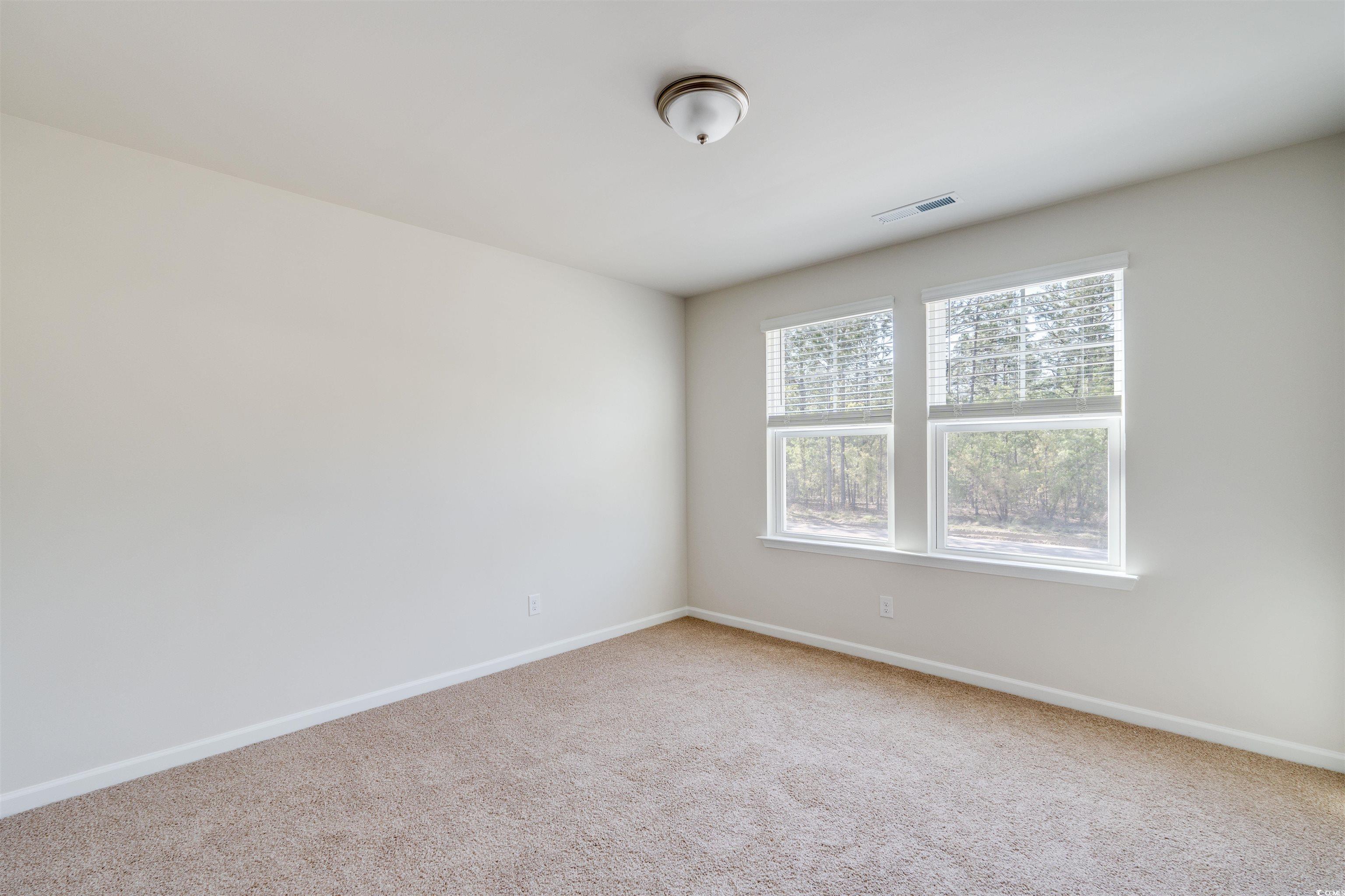 823 Brown Swamp Road Conway, SC 29527 - Photo 17 of 29 Gallery Image 17