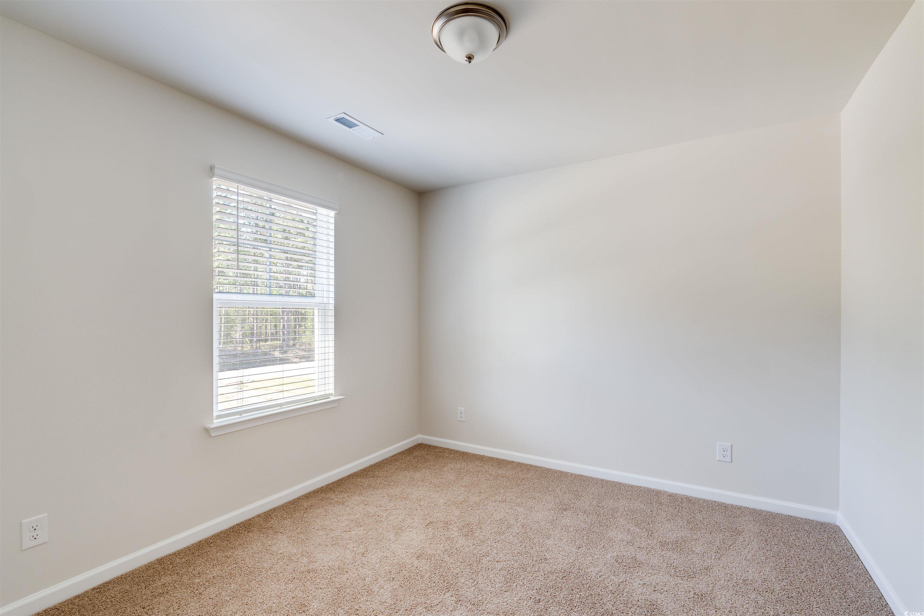 823 Brown Swamp Road Conway, SC 29527 - Photo 19 of 29 Gallery Image 19