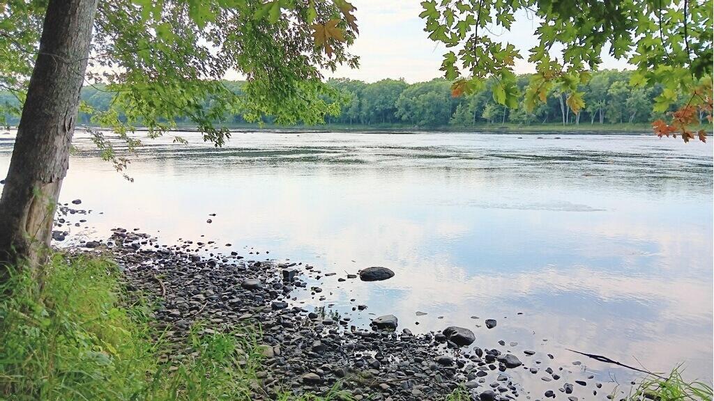 590 Mohawk Road Lincoln, ME 04457 - Photo 4 of 12 5