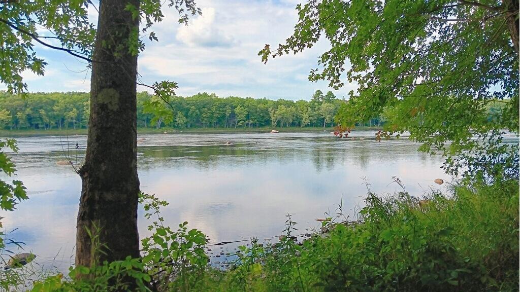 590 Mohawk Road Lincoln, ME 04457 - Photo 5 of 12 6