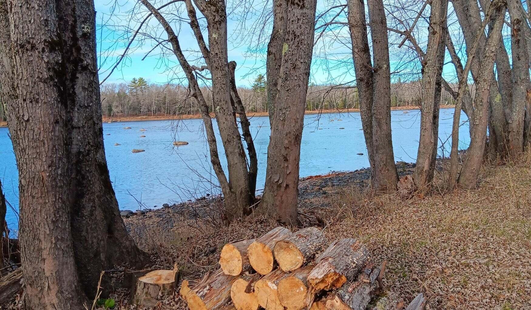 590 Mohawk Road Lincoln, ME 04457 - Photo 6 of 12 7