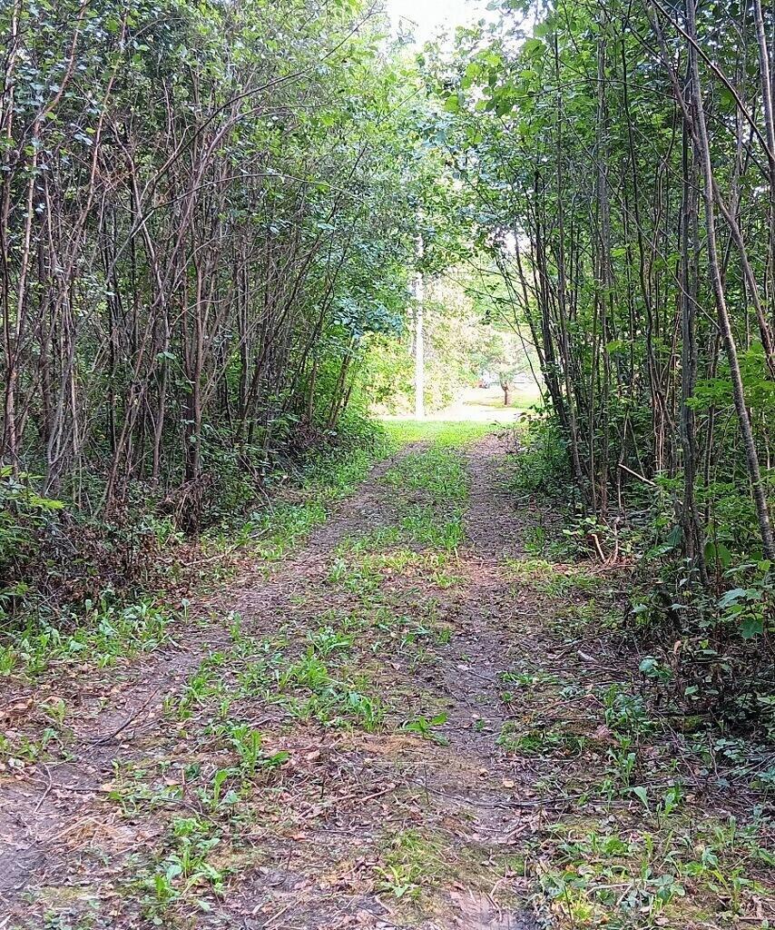 590 Mohawk Road Lincoln, ME 04457 - Photo 7 of 12 8