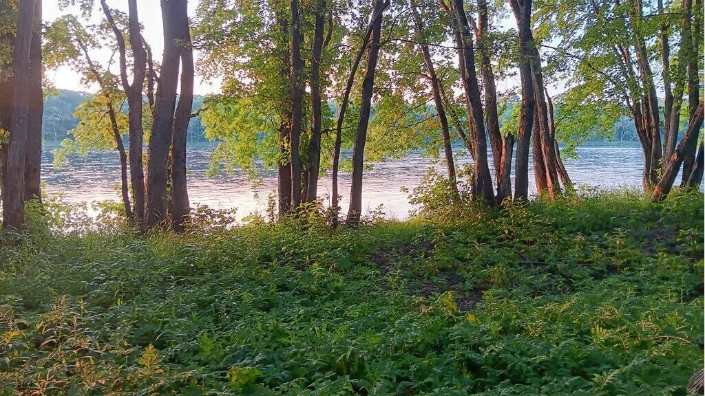 590 Mohawk Road Lincoln, ME 04457 - Photo 8 of 12 9