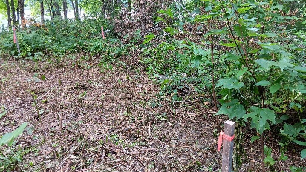 590 Mohawk Road Lincoln, ME 04457 - Photo 10 of 12 17