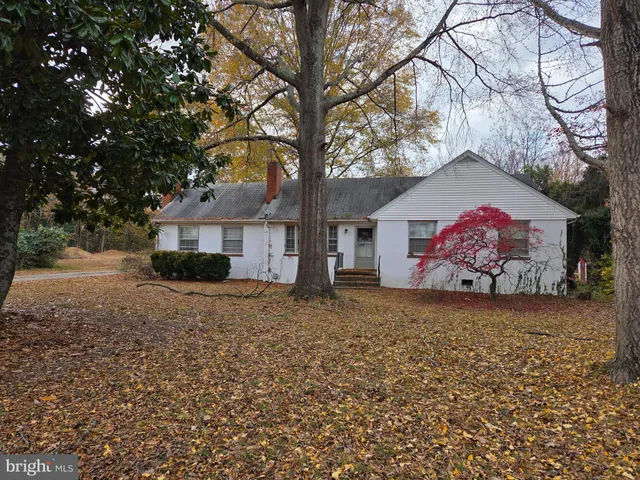 a house with lots of trees