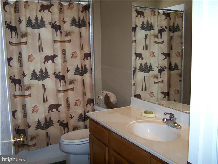 1153 Woodruff Road Coatesville, PA 19320 - Photo 18 of 24 Bathroom