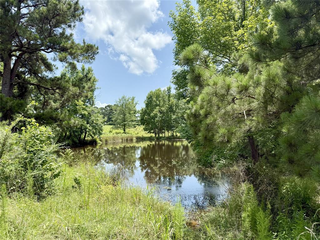 1544 Bethlehem Road Gloster, LA 71030 - Photo 1 of 1 Water view with a forest