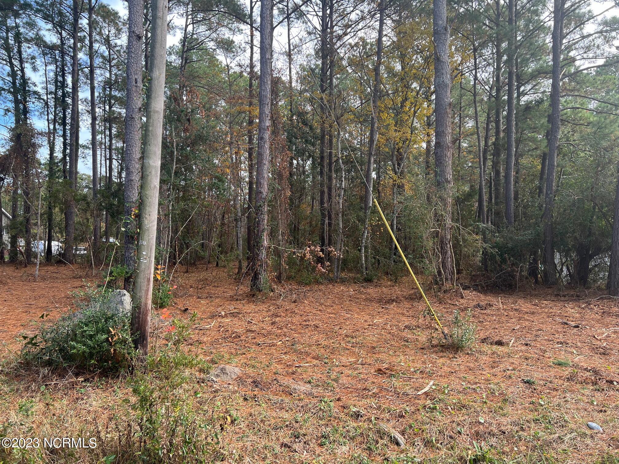530 Firetower Road Beaufort, NC 28516 - Photo 6 of 10 IMG_0696