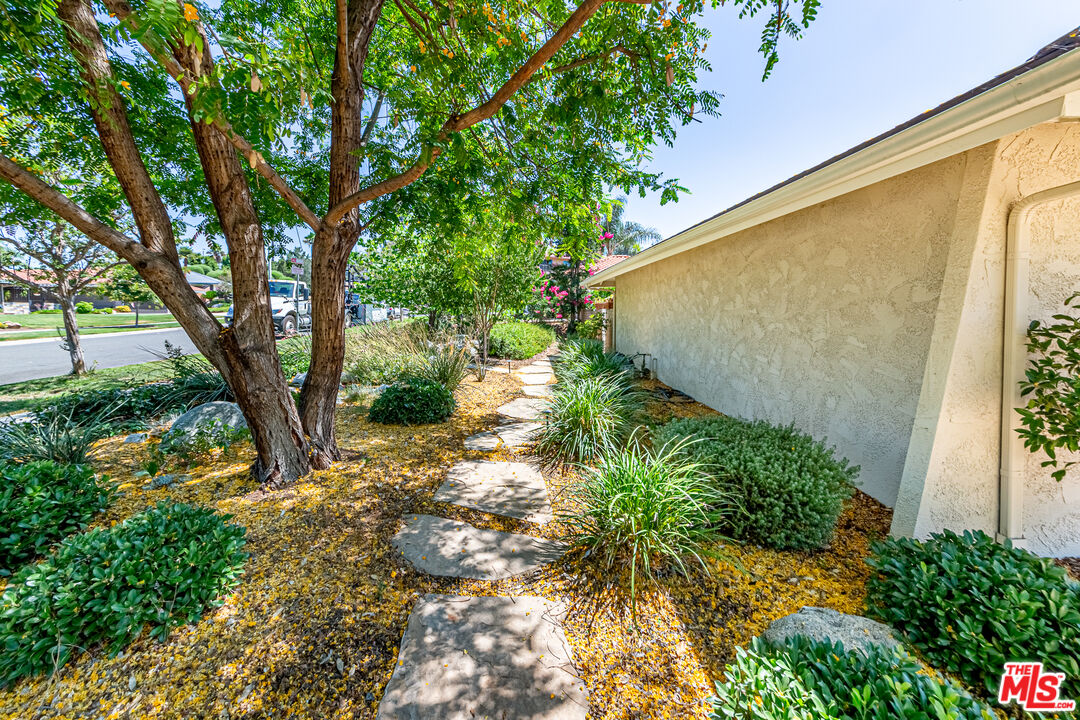 1195 Vía Pintada Riverside, CA 92507 - Photo 40 of 51 a backyard of a house with lots of green space