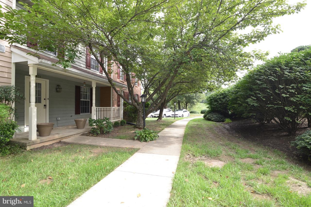 1478 Autumn Ridge Circle Reston, VA 20194 - Photo 2 of 28 Front Walk - Protected by Landscaping