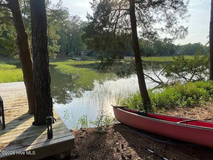 7503 Anaca Point Road Wilmington, NC 28411 - Photo 38 of 39