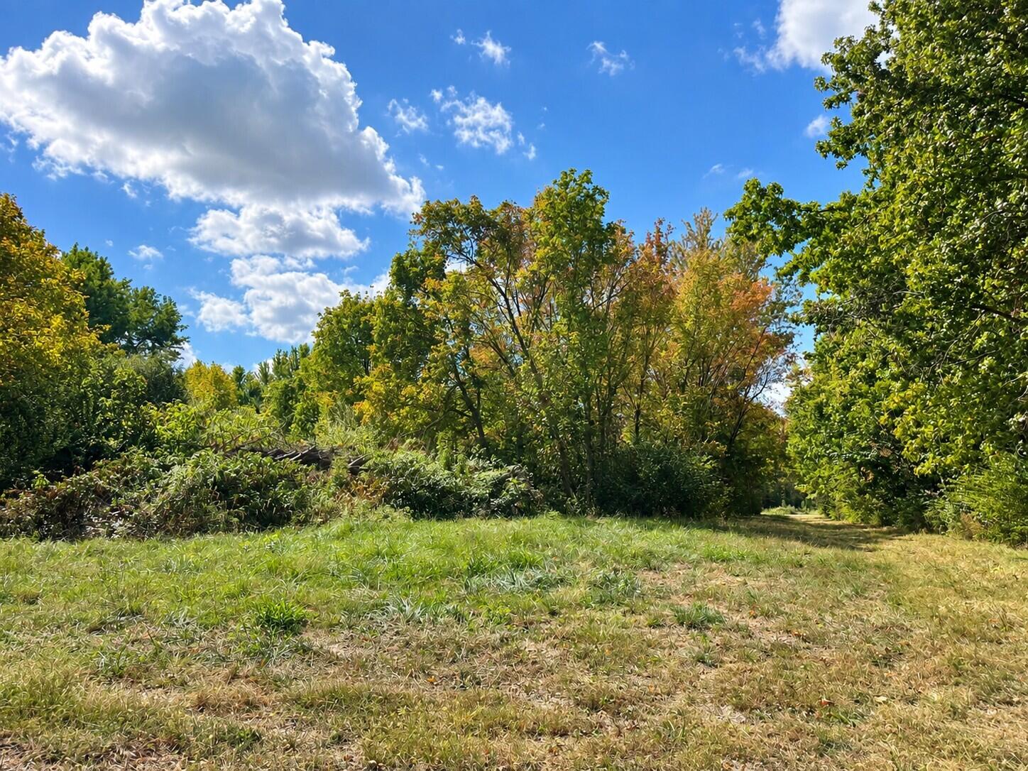3735 State Rd AA Holts Summit, MO 65043 - Photo 15 of 57 Gallery Image 15