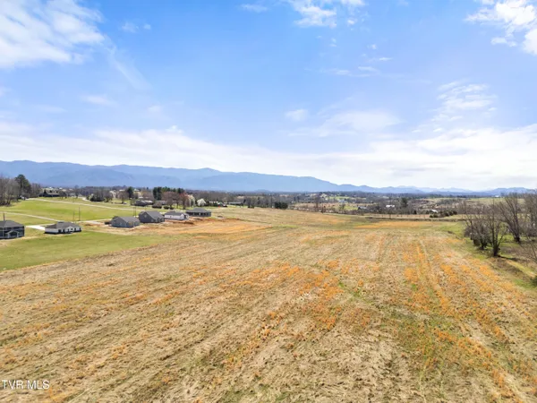 $160,000 | Lot 20 Greenwood Road, Unit 20, Afton, TN 37616