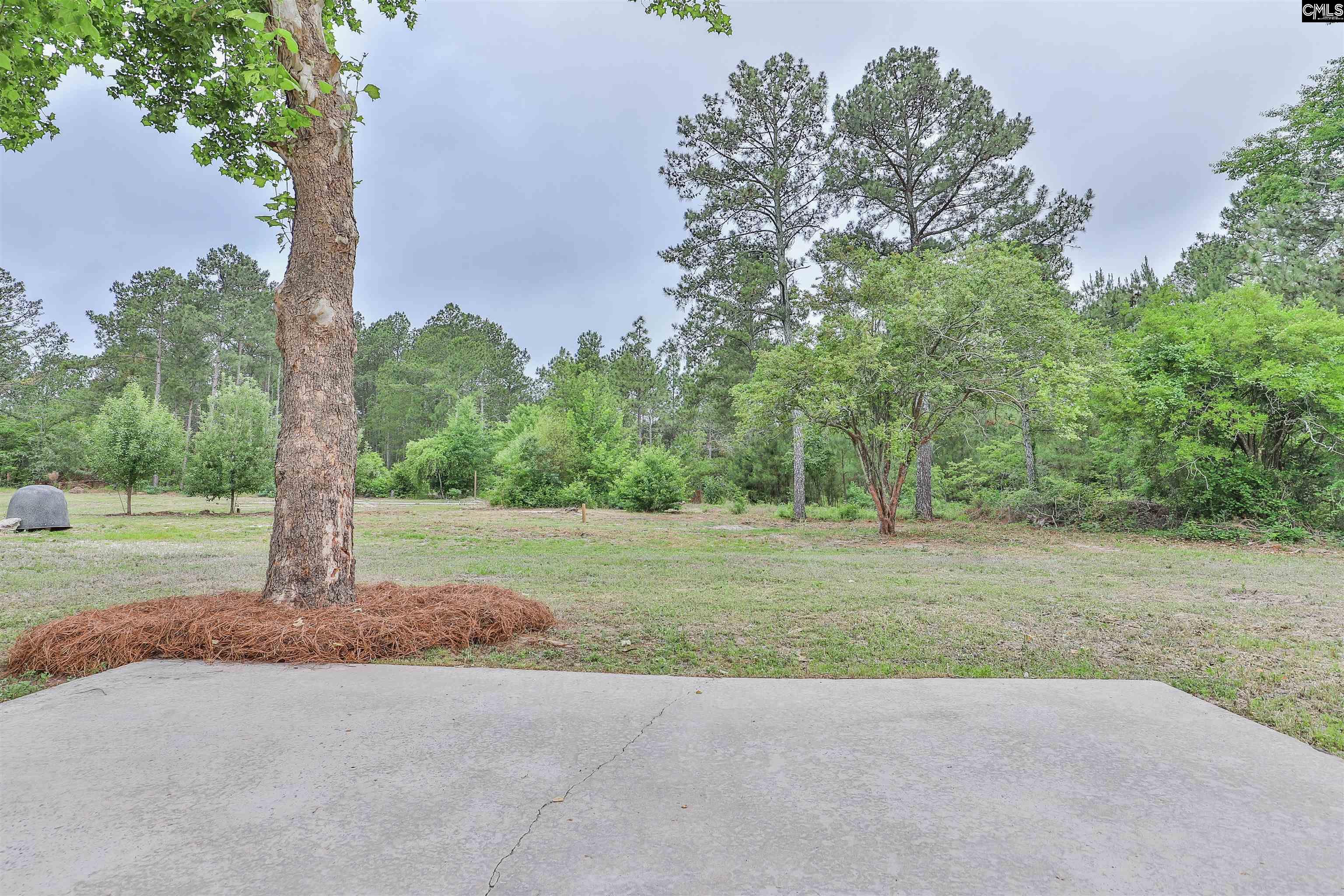 3209 Old Charleston Road Gilbert, SC 29054 - Photo 39 of 50