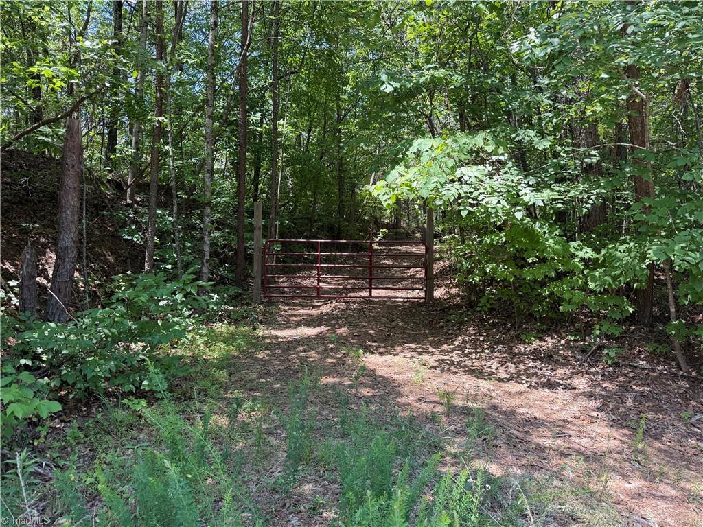 Xx 31.85-ac Xx 31.85-ac Hampton Road Germanton, NC 27019 - Photo 2 of 33