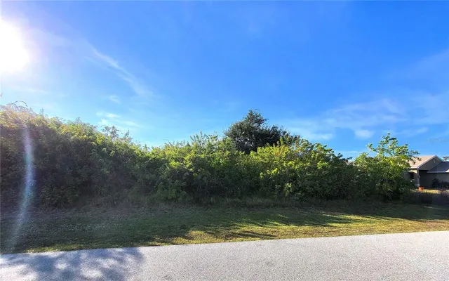 a view of a lake from a yard