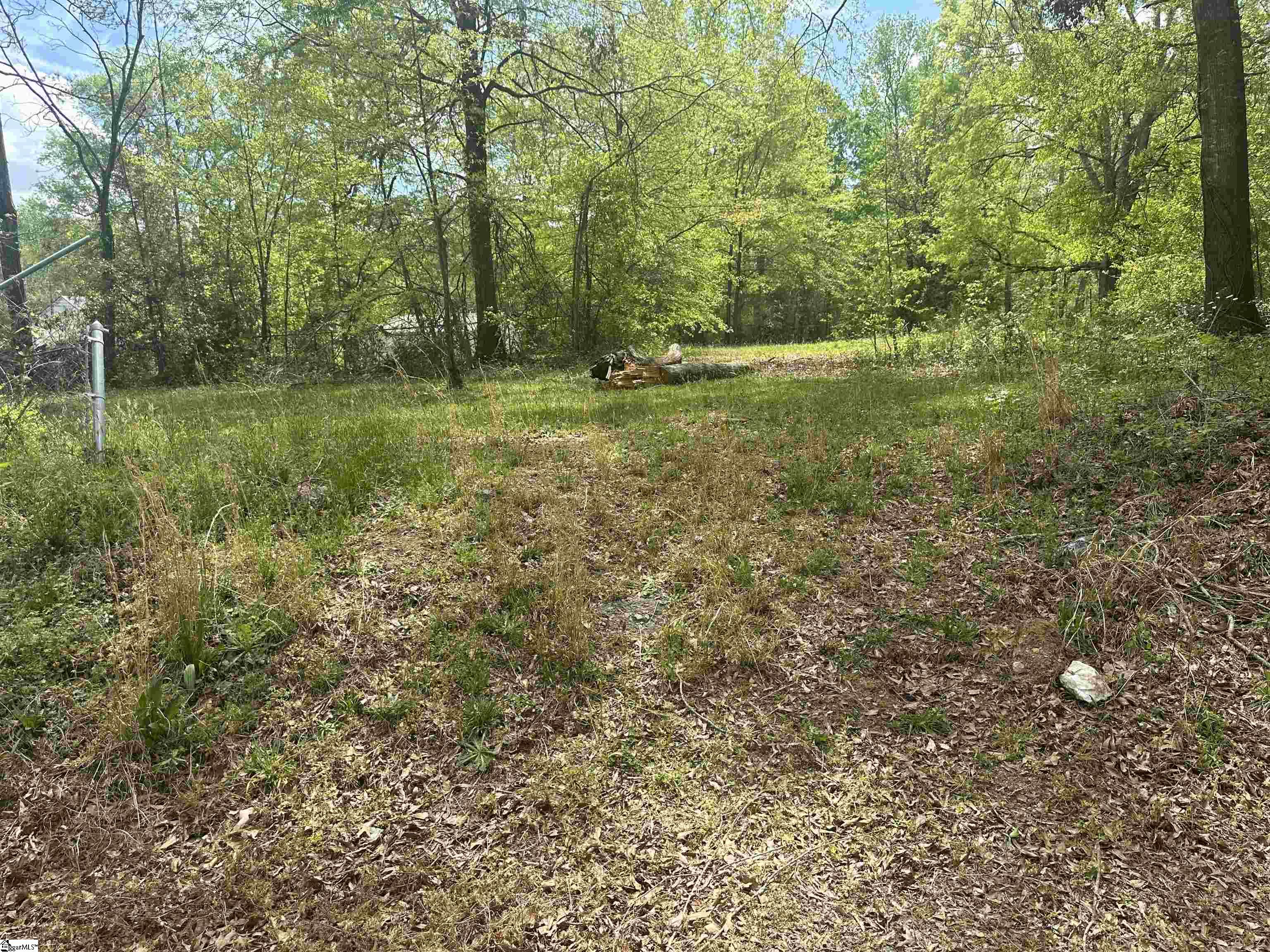 101 West Bluford Street Clinton, SC 29325 - Photo 3 of 9