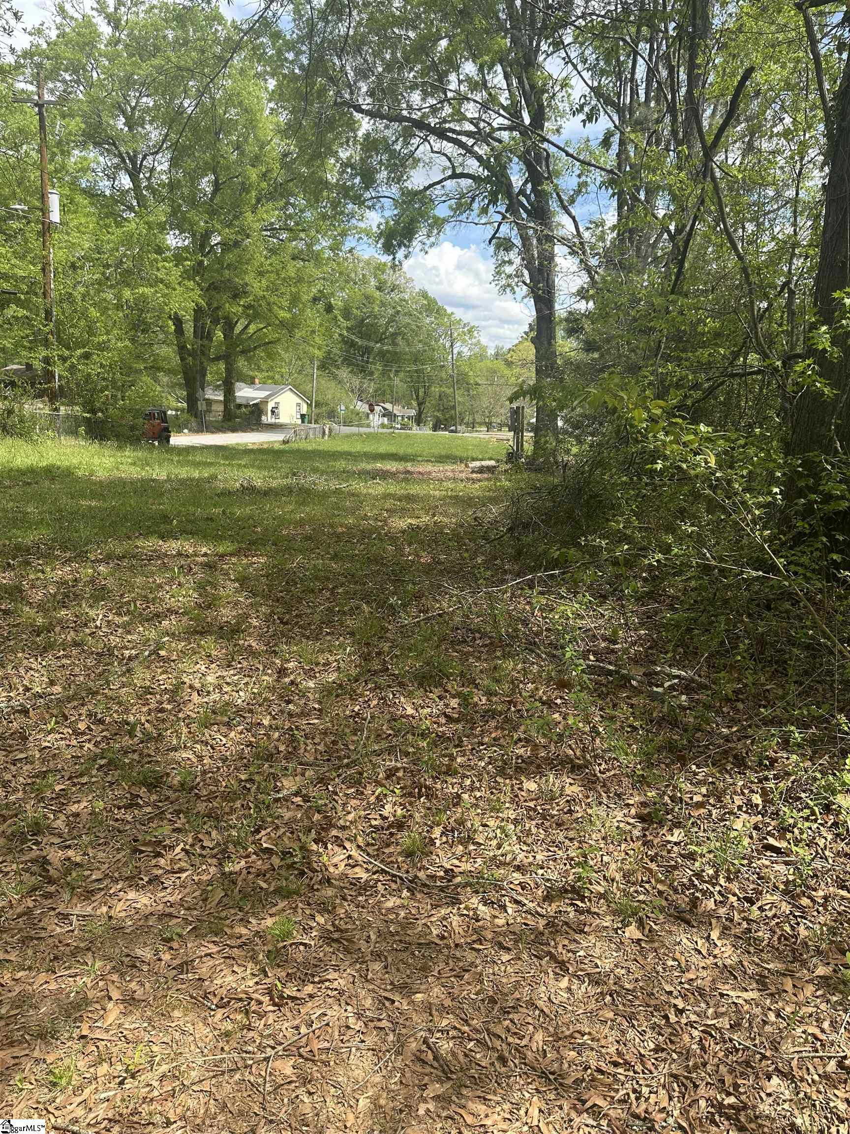 101 West Bluford Street Clinton, SC 29325 - Photo 4 of 9