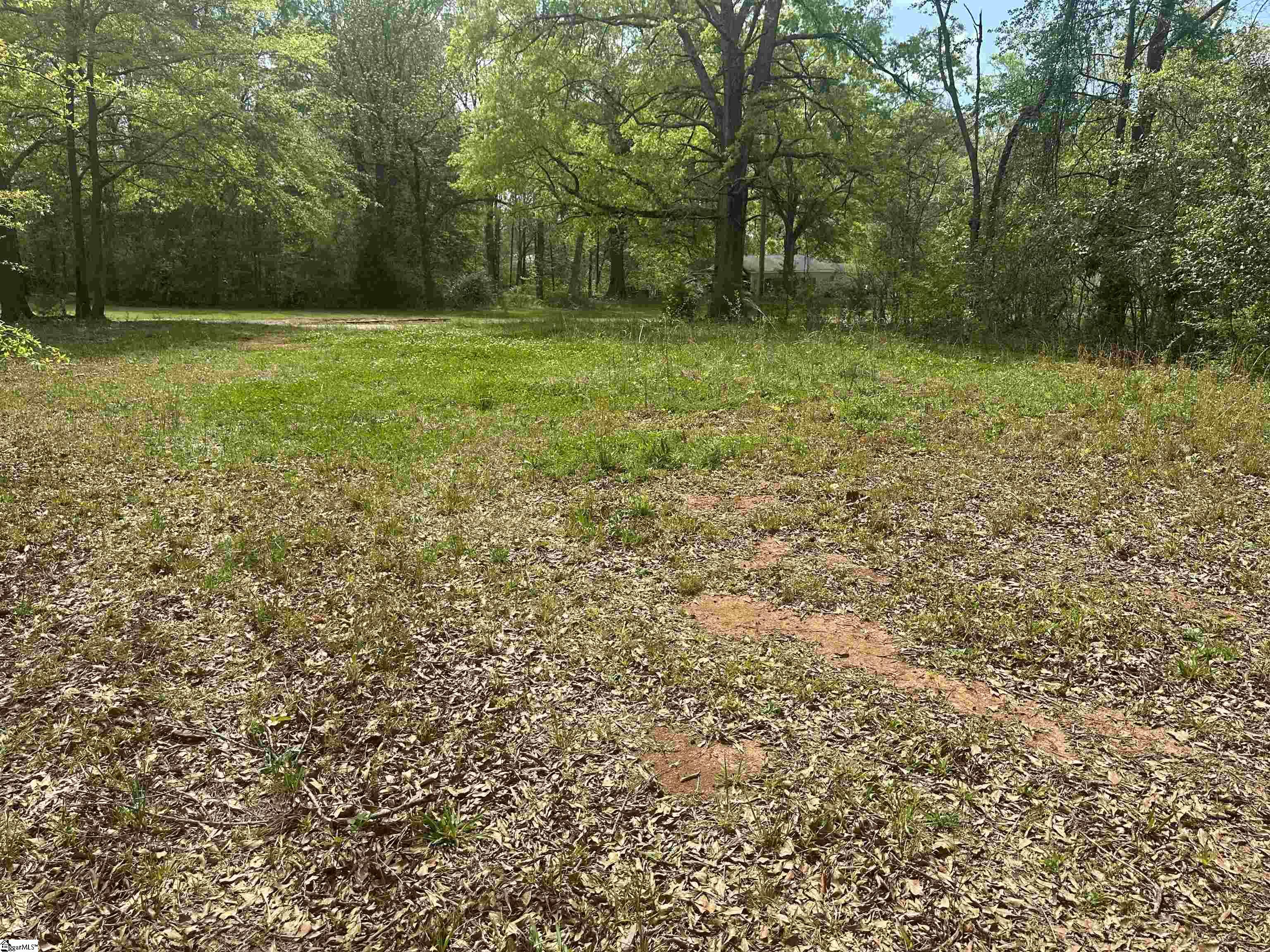 101 West Bluford Street Clinton, SC 29325 - Photo 5 of 9