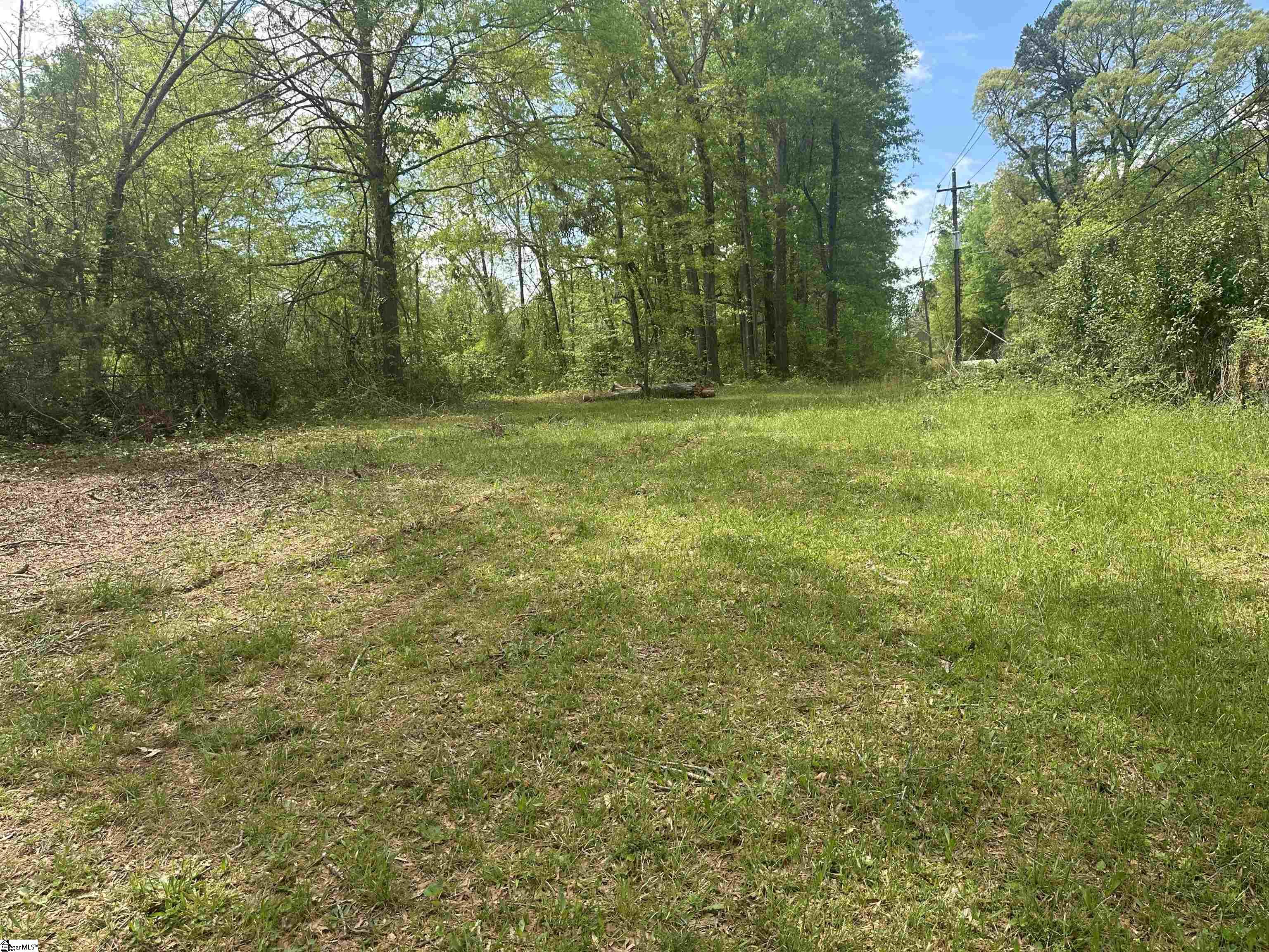 101 West Bluford Street Clinton, SC 29325 - Photo 6 of 9