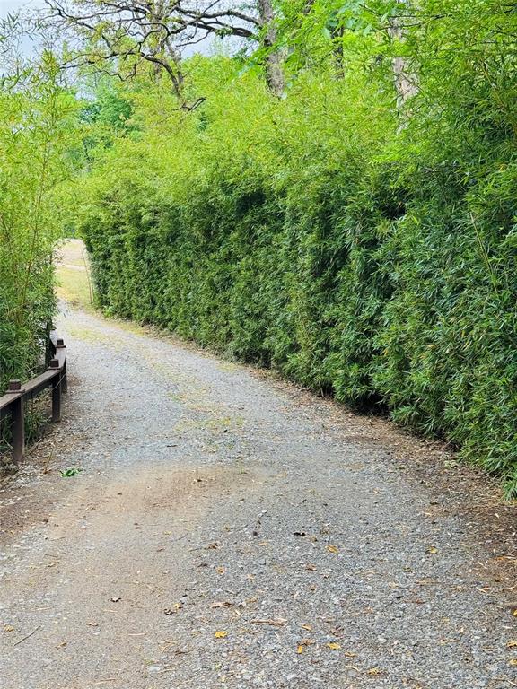 151 Smith Road Gladewater, TX 75647 - Photo 3 of 40 Driveway